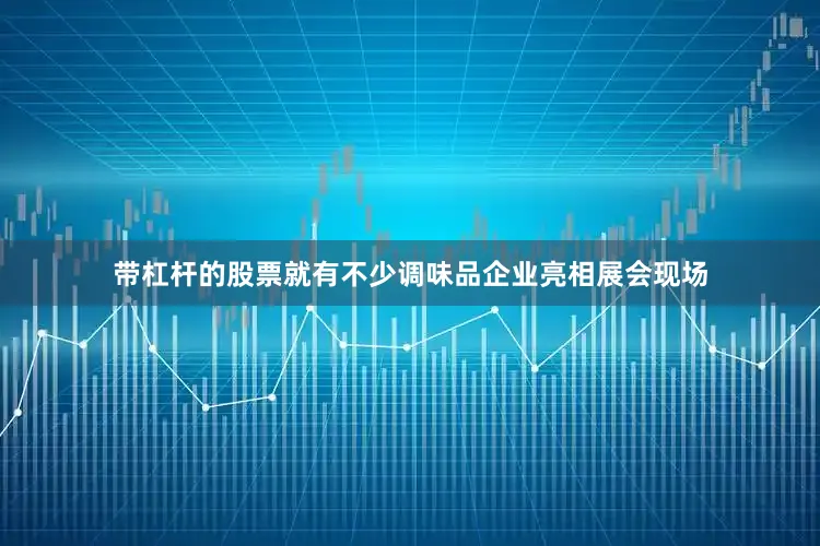 带杠杆的股票就有不少调味品企业亮相展会现场