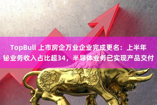 TopBull 上市房企万业企业完成更名：上半年铋业务收入占比超34，半导体业务已实现产品交付