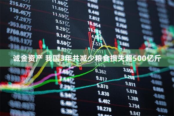 诚金资产 我国3年共减少粮食损失超500亿斤
