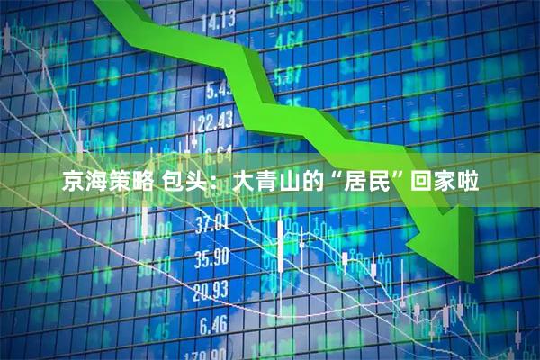 京海策略 包头：大青山的“居民”回家啦