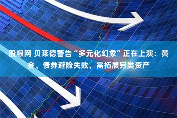 股粮网 贝莱德警告“多元化幻象”正在上演：黄金、债券避险失效，需拓展另类资产