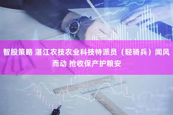 智股策略 湛江农技农业科技特派员(轻骑兵)闻风而动 抢收保产护粮安